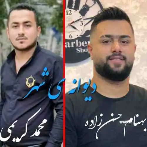 دیوانه شهر